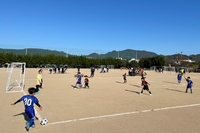 JCカップミニサッカー大会を開催しましたの画像